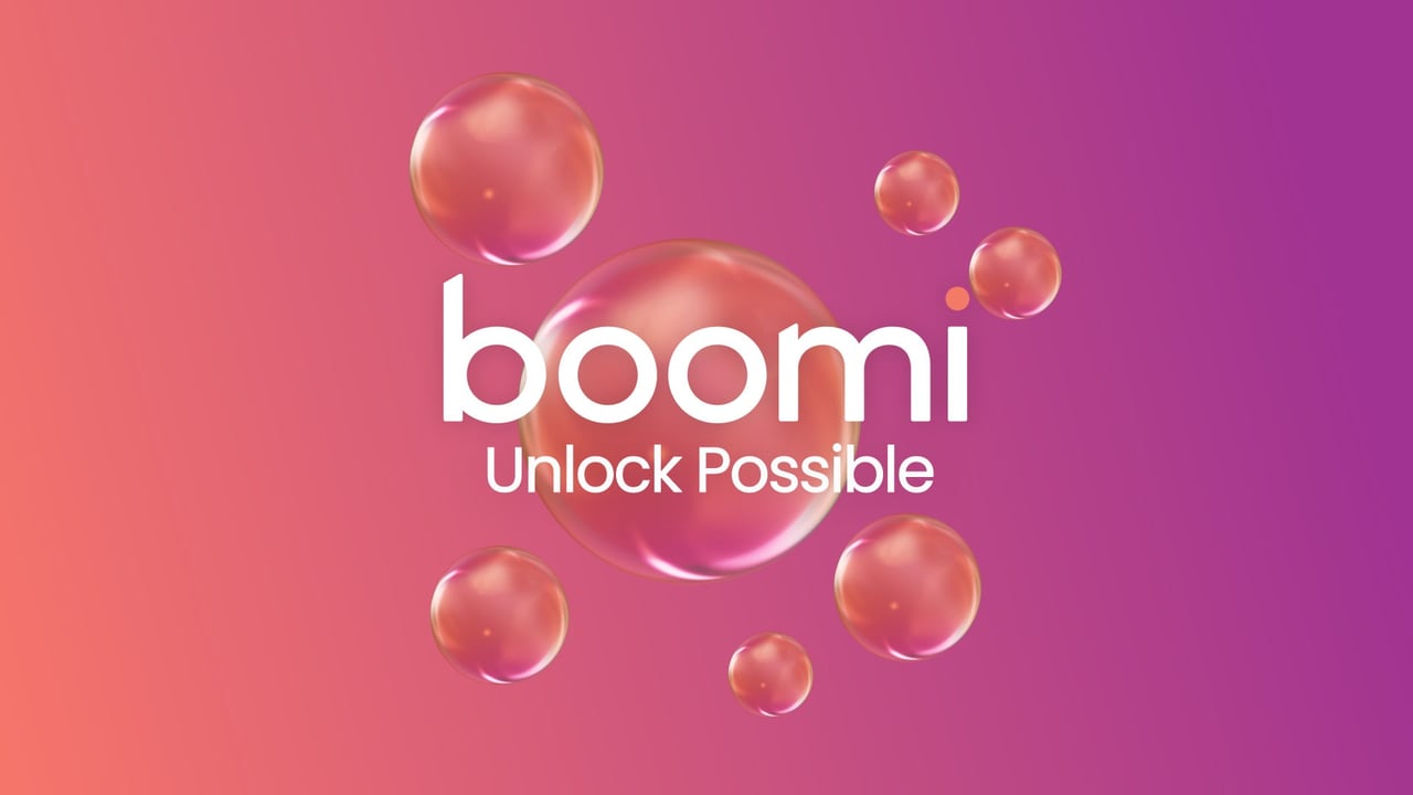 Boomi screenshot
