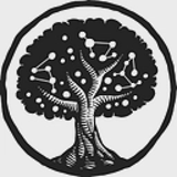 Kumu logo